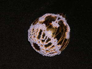 occhi-kugel 2 in 1:1