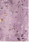 paintedpaper-ganite-0006.jpg