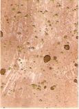paintedpaper-ganite-0014.jpg